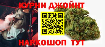 гашик Кимры