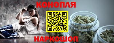 гашик Кимры