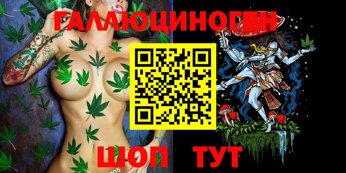 Корсаков  Галлюциногенные грибы Cubensis  Вход с VPN 