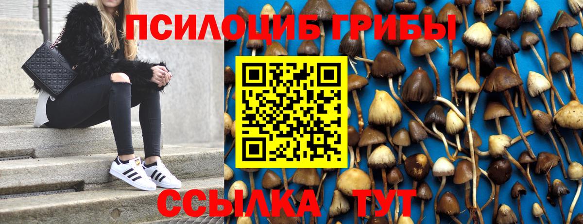 Псилоцибиновые грибы ЛСД Корсаков